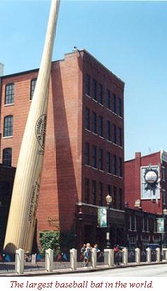 the big bat; photo by Rich Lynch